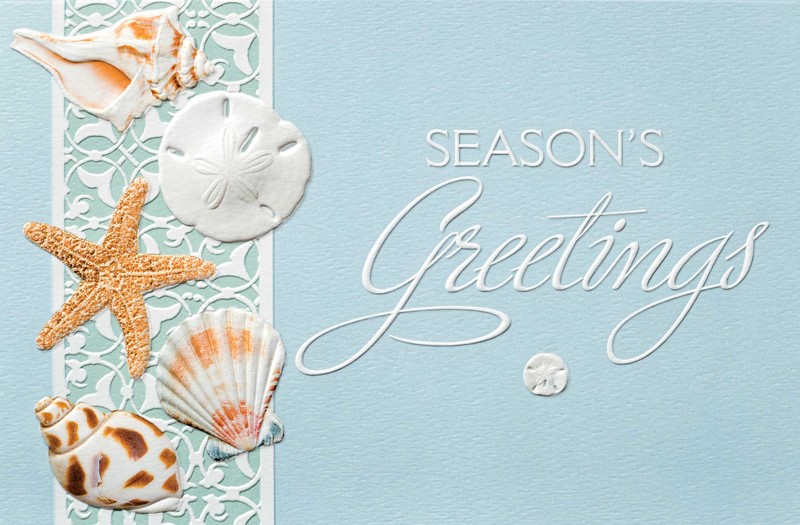 Sea Lover's Shells Seashell themed Christmas cards