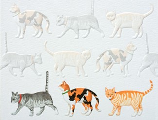 Feline Parade | Pet lover boxed note cards