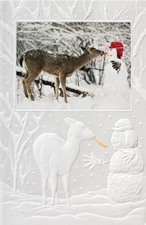 Rare Treat | Deer themed boxed greeting cards