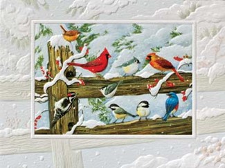Winter Songbirds | Embossed songbird Christmas cards
