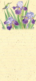 Iris Interlude | Hummingbird list pad