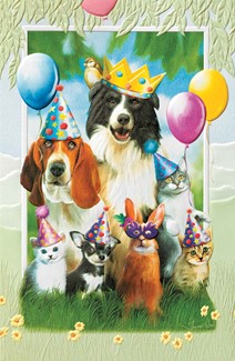 Party Animals | Pet lover birthday cards