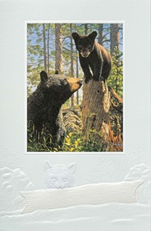 Stump Jumper | Black bear birthday cards