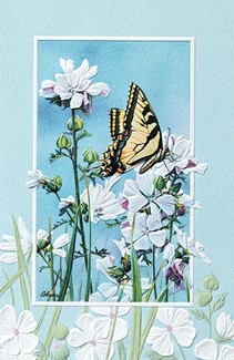 Sweet Landing | Butterfly birthday cards