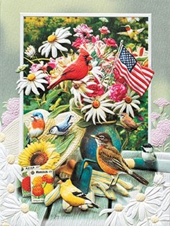 Patriotic Birds | American made greeting cards