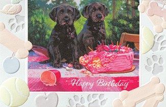 Birthday Bandits | Birthday greeting cards