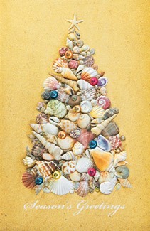 Coastal Charm | Palm tree boxed Christmas cards