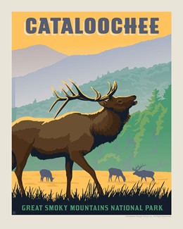 Great Smoky Mountains National Park Cataloochee Elk 8" x 10" Print | USA Made