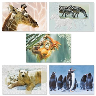 Exotic Wildlife 30 Card Occasion Assortment | Assortment Boxed Cards, Made in the USA
