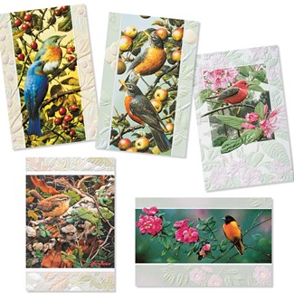 Wild Birds 30 Card Birthday Assortment | Assortment Boxed Cards, Made in the USA