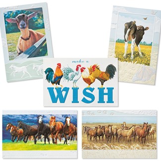 Farm Friends 30 Card Birthday Assortment | Assortment Boxed Cards, Made in the USA