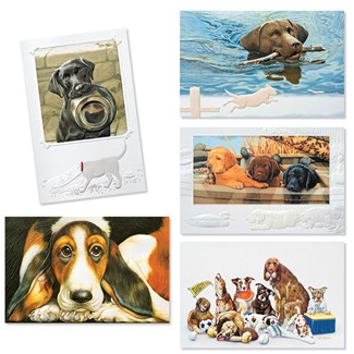 Canine Companions 30 Card Occasion Assortment | Assortment Boxed Cards, Made in the USA