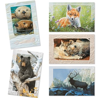 Wildlife of North America 30 Card Occasion Assortment | Assortment Boxed Cards, Made in the USA