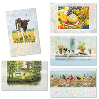 Pleasant Living 30 Card Occasion Assortment | Assortment Boxed Cards, Made in the USA