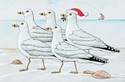 Marching Gulls