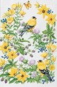 Goldfinch In Thistle (FR) Folded - W/Env