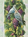 Mourning Doves (AW) Petite Folded - W/Env
