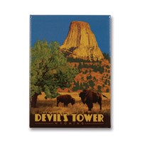 Devil's Tower, WY Metal Magnet