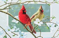 Cardinals In Dogwood Folded - W/Env