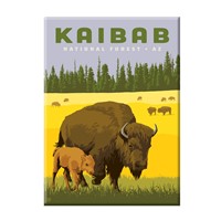 Kaibab National Forest Magnet