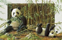 Panda Play - BLANK