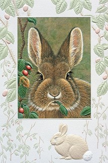 Bunny Brunch | Backyard critter birthday cards