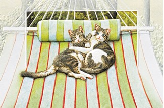 Time Out | Cat lover embossed greeting cards