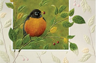 Plump | Robin greeting cards