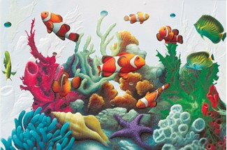 Clowns in Coral | Tropical fish birthday cards