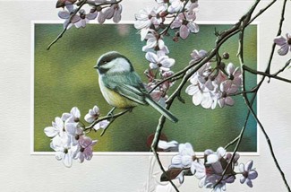 Plum Blossom Chickadee | Chickadee embossed greeting cards