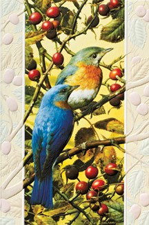 Bluebirds | Songbird birthday cards
