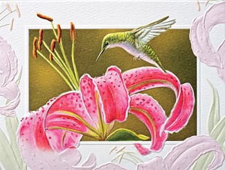 Pink Lady | Hummingbird friendship note cards, Made in the USA