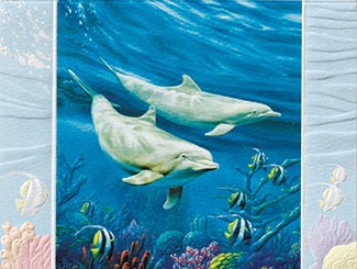 Dolphin Duo | Sealife anniversary wedding cards