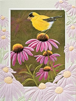 Purple Coneflower | Songbird birthday note cards