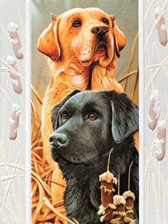 The Boys | Pet love birthday note cards