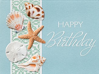 Birthday Shells | Seashell birthday note cards