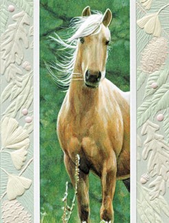 Windy Day | Horse themed birthday greeting cards