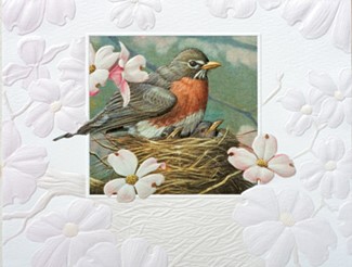 Mother's Day | Songbird boxed note cards, Made in the USA