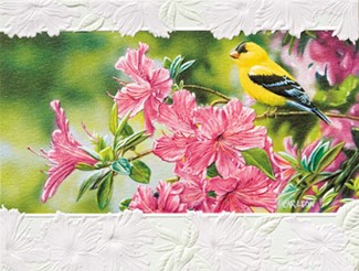 Goldfinch in Azaleas | Embossed blank note cards