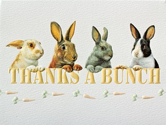 Thanks A Bunch | Rabbit lover boxed note cards