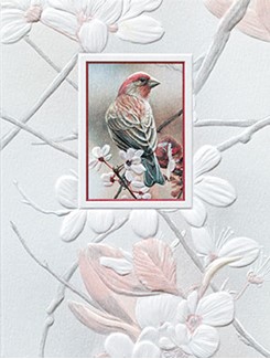 Pretty Perch | Songbirds embossed blank note cards