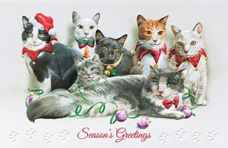 Festive Felines | Cat lover boxed Christmas cards