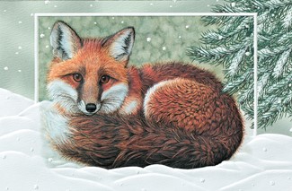 Winter Fox | Wildlife boxed Christmas cards