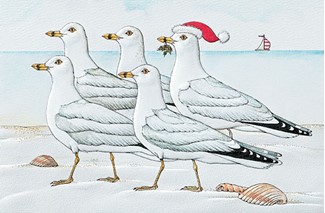 Marching Gulls | Shorebird Christmas cards