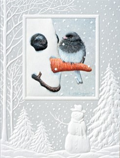 Nosey Junco | Snowman boxed Christmas cards