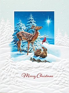 Following the Star | Wildlife boxed Christmas greeting cards