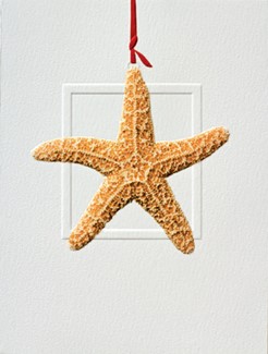 Sea Star | Coastal themed boxed Christmas cards