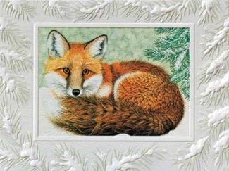First Winter | Fox boxed Christmas greeting cards, Made in America