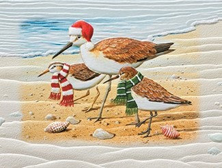 Chilly Birds | Shorebird boxed Christmas greeting cards