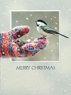 Mitten Snack | Photographic boxed Christmas cards